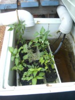 CIMG1320 [320x200].JPG