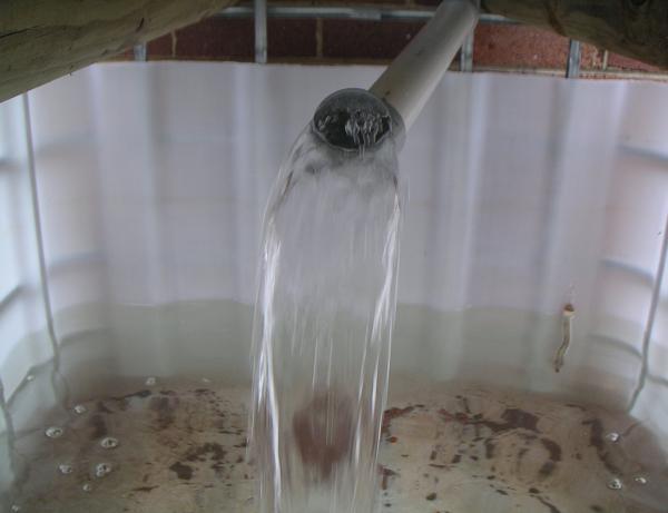 before the storm.JPG