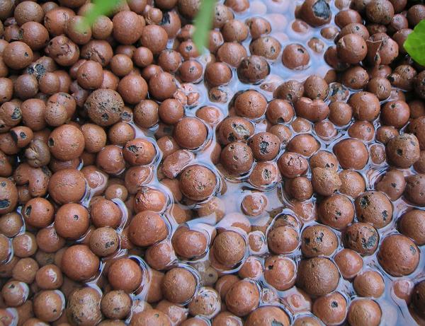 my fav pic of flooding.JPG