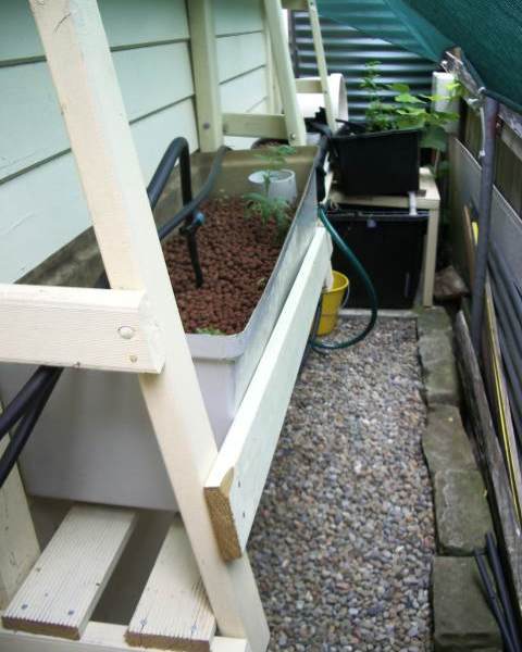 Jan 2009 New Beds.jpg