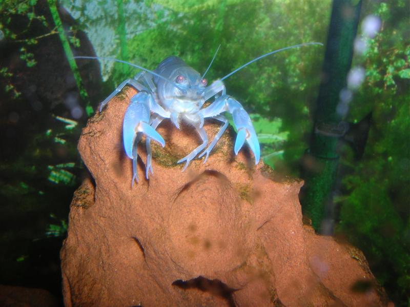 DSCN1382 (Medium).JPG