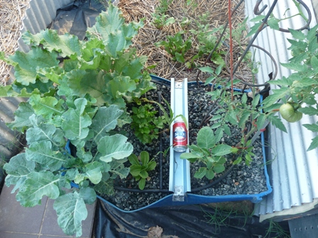 jan09 system 1 gb.jpg