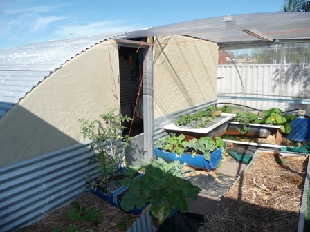 jan09 grow bed overview.jpg