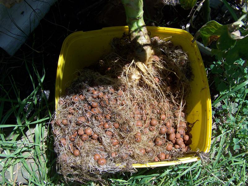 101_2157 (Medium).JPG