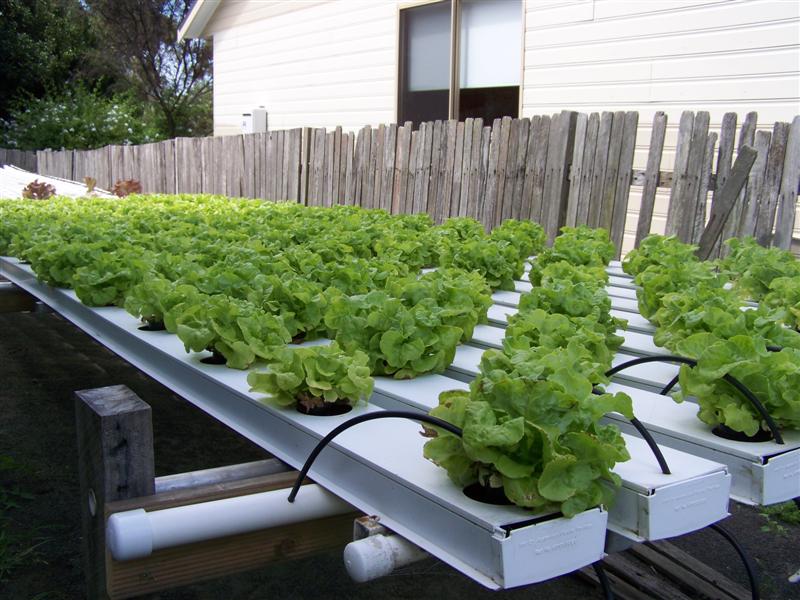 100_2153 (Medium).JPG