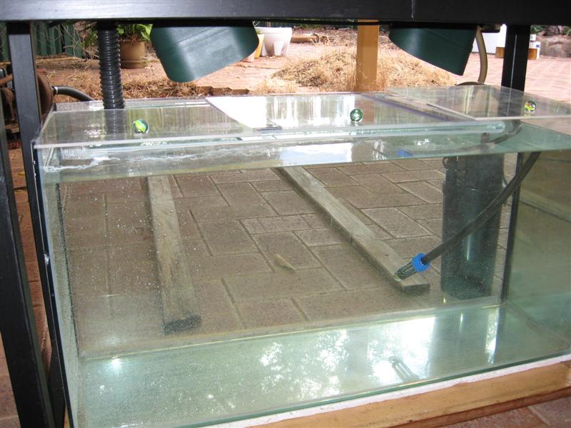 IMG_0074 (Medium).jpg