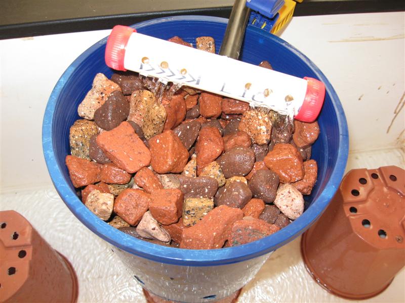 IMG_0073 (Medium).jpg