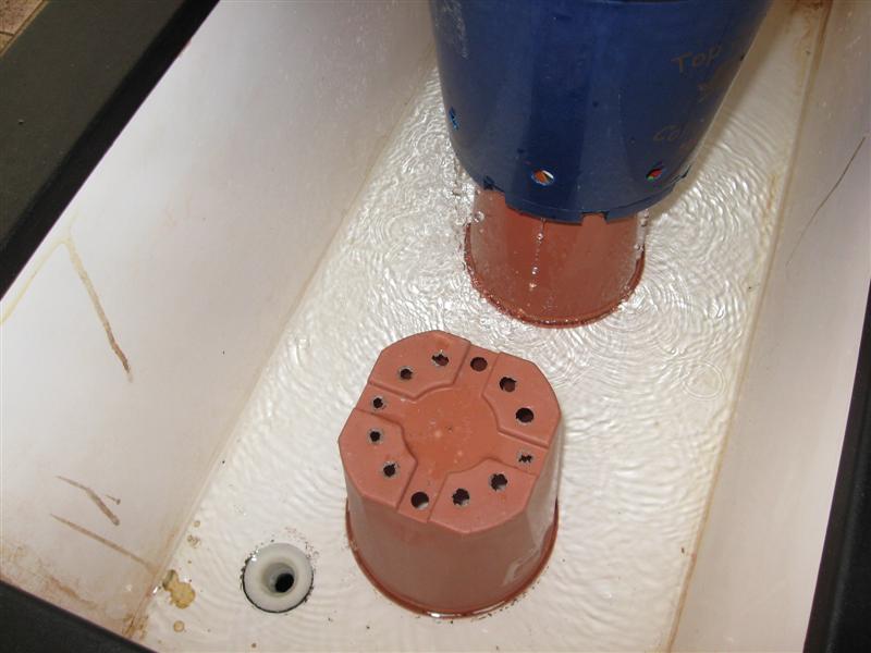 IMG_0072 (Medium).jpg