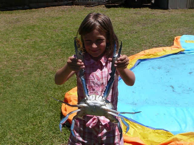 holidays 2009 001.jpg