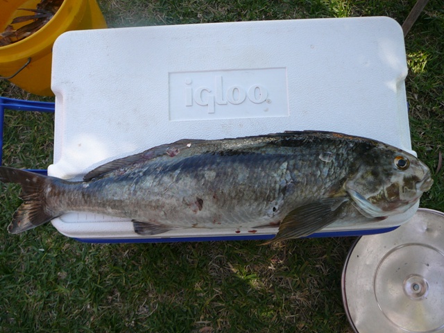 holidays 2009 006.jpg