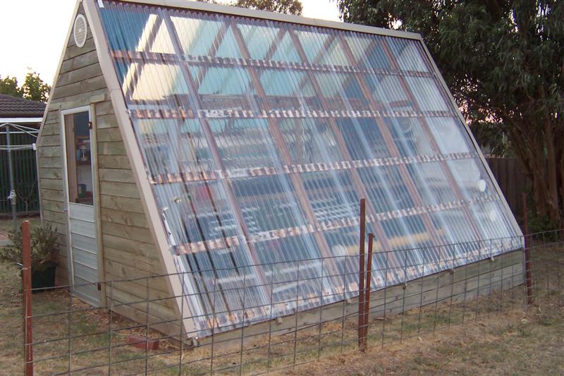 My other hothouse (Medium).JPG