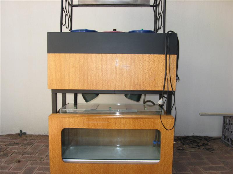 IMG_0078 (Medium).jpg