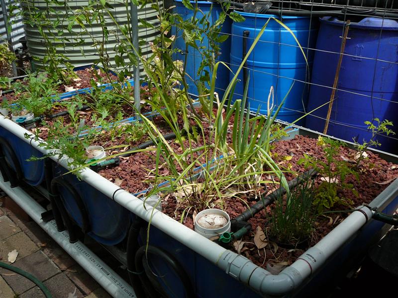 ss-16'01'09 021 (Medium).jpg