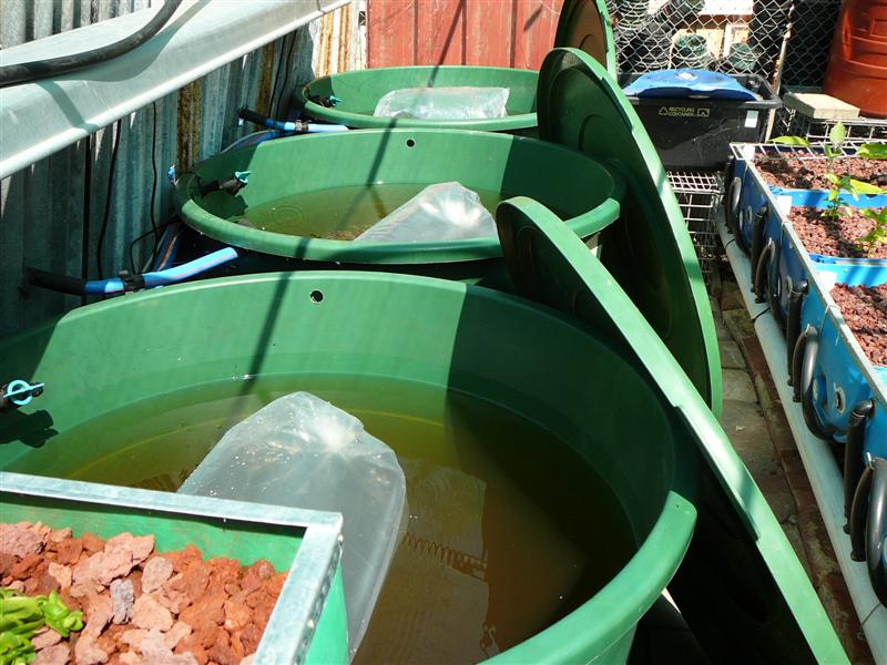 ss-13'01'09 053 (Medium).jpg