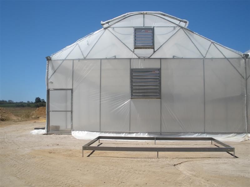 January 16th 2009 074 (Medium).jpg