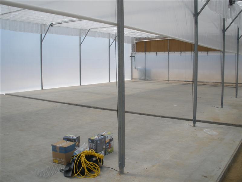 January 16th 2009 078 (Medium).jpg