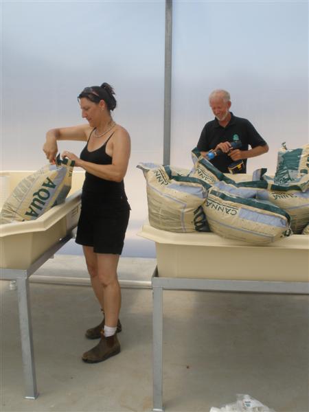 January 16th 2009 099 (Medium).jpg