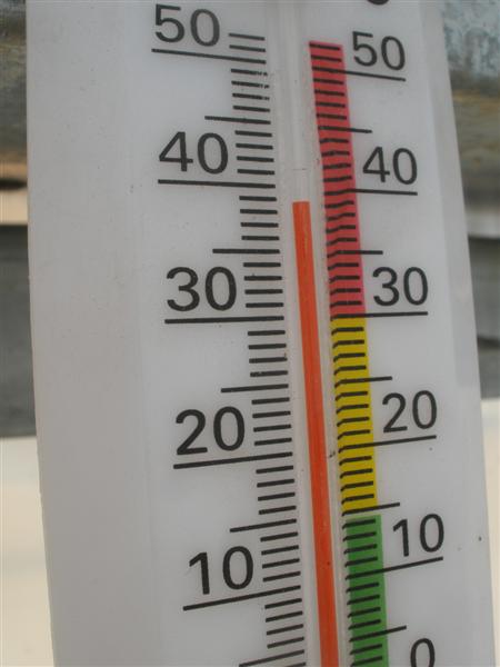 January 16th 2009 108 (Medium).jpg