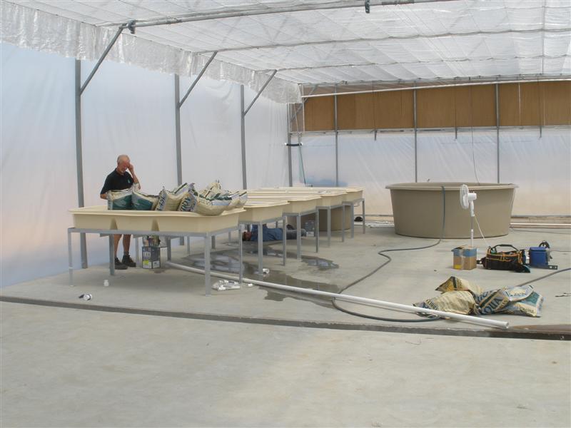 January 16th 2009 109 (Medium).jpg