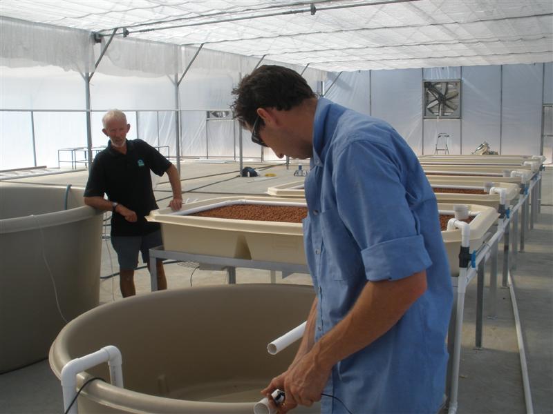 January 16th 2009 120 (Medium).jpg