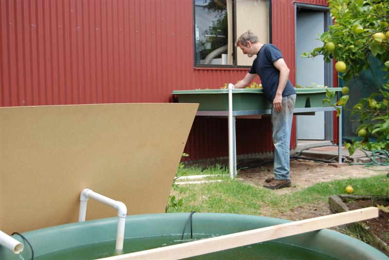 January 16th 2009 209 (Medium).jpg