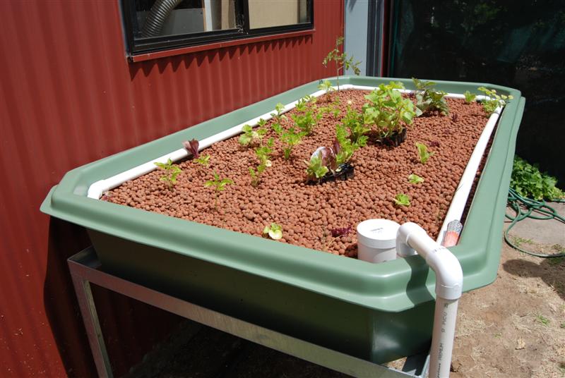 January 16th 2009 212 (Medium).jpg