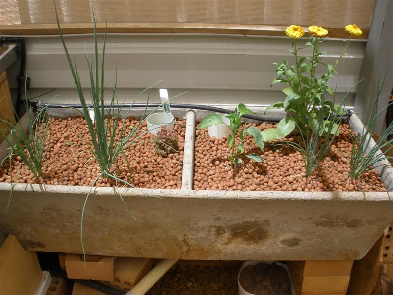 18 12 08 (Medium).JPG