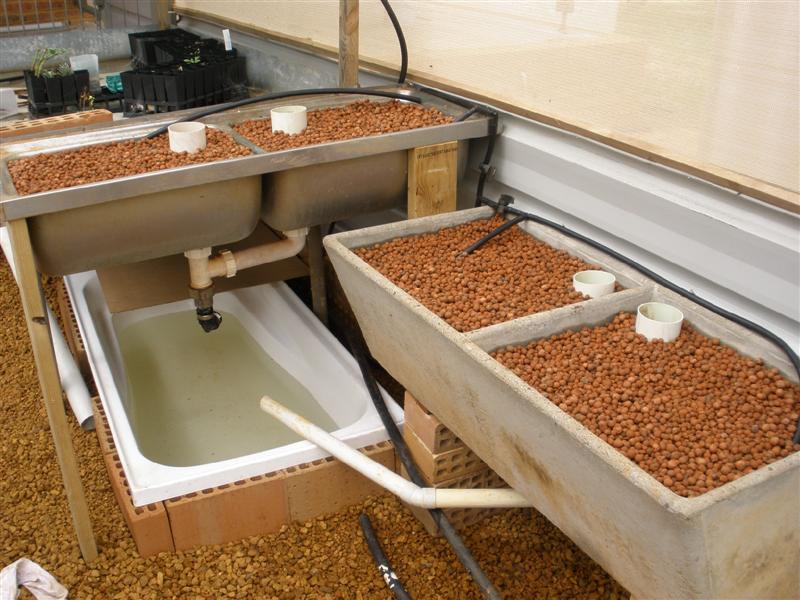 P9100123 (Medium).JPG