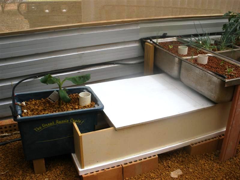 a new grow bed.JPG