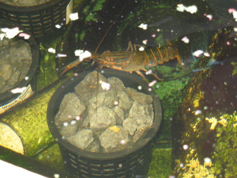 IMG_0232 (Medium).jpg