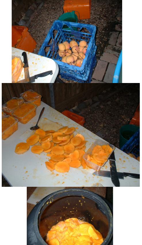 scnapps in progress.jpg