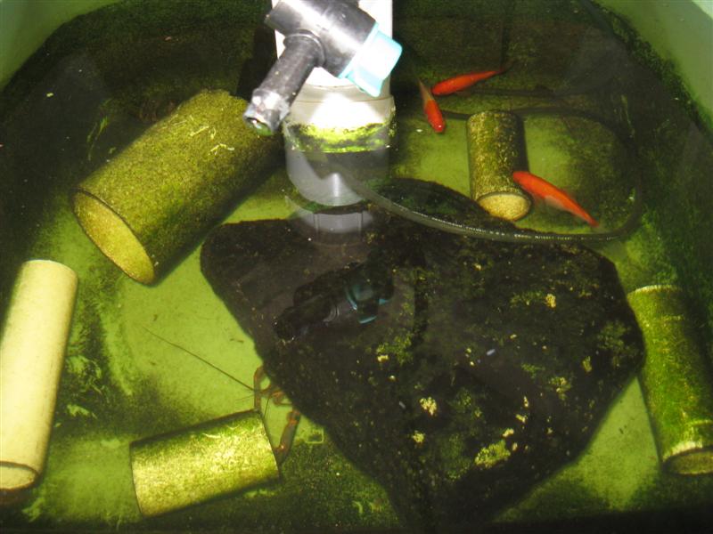 IMG_0262 (Medium).jpg