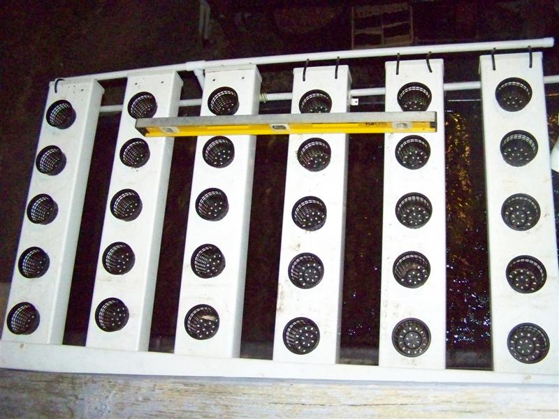 100_2179 (Medium).JPG