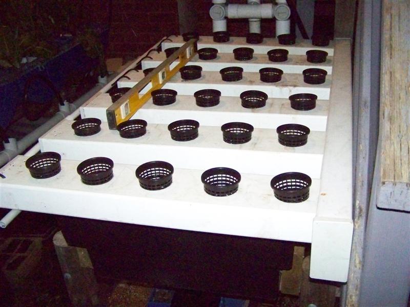 100_2180 (Medium).JPG