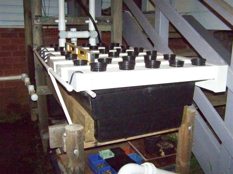 100_2181 (Medium).JPG