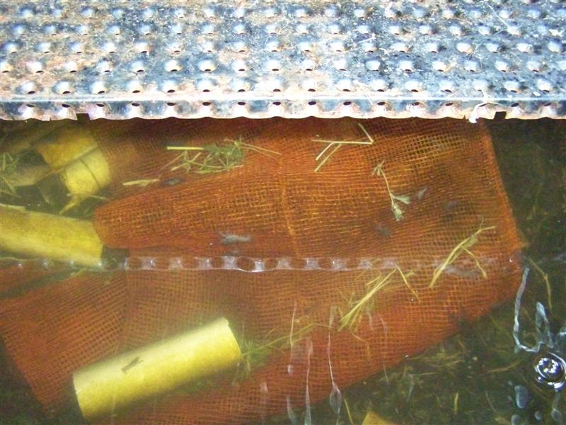 101_2167 (Medium).JPG