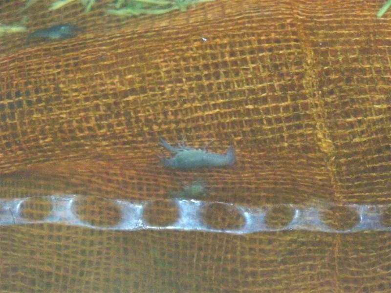 101_2168 (Medium).JPG