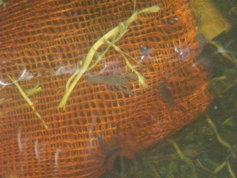 101_2169 (Medium).JPG