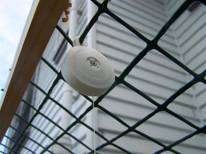 100_2202 (Medium).JPG