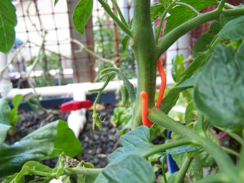 100_2201 (Medium).JPG