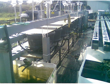 barrel growbeds_slidepic1_3.png