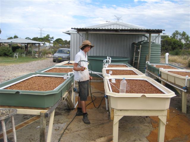 IMG_0696 (Small).JPG