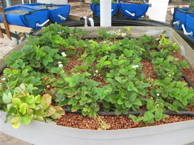 IMG_0679 (Small).JPG