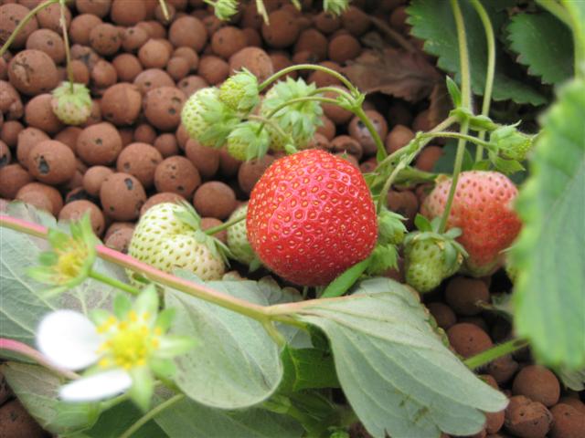 IMG_0683 (Small).JPG