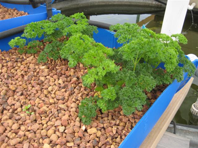 IMG_0688 (Small).JPG