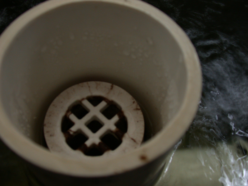 under the red cap.JPG