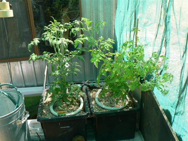 Mini-system #1 007 (Small).jpg