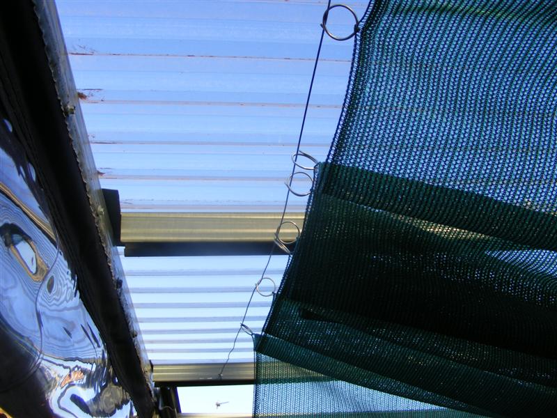 DSCF3868 (Medium).JPG