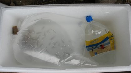 Aquablue packing.jpg