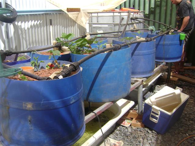 january 09 001 (Small).jpg